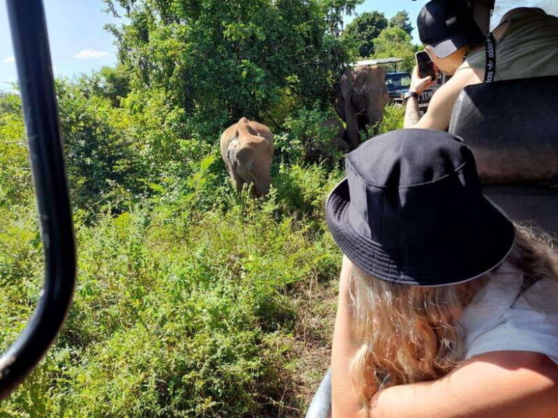 From Ella: Yala safari & Drop Tangalle / Mirissa / Galle - Who Is This Tour Perfect For?