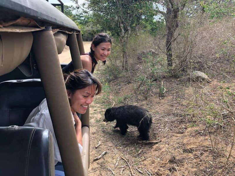 from-ella-yala-safari-tour-with-drop-at-tangalle-hiriketiya