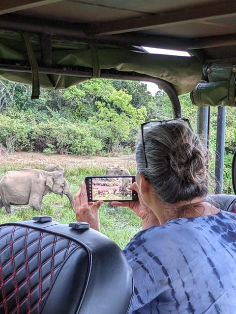 from-ella-yala-safari-transfer-to-mirissa-unawatuna-galle