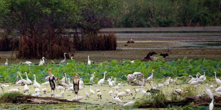 from-ellaravana-falls-diyaluma-falls-yala-national-park
