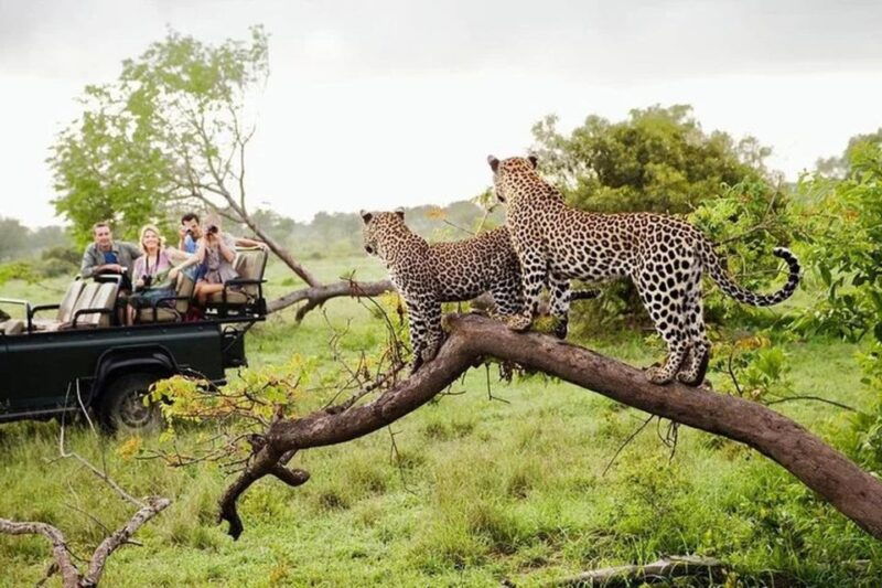 from-ellatransfer-to-galle-mirissa-bentota-with-yala-safari
