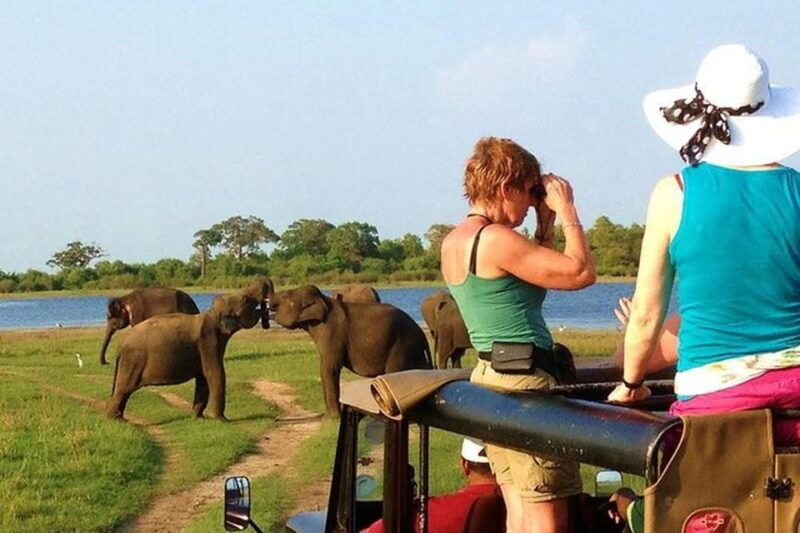 from-ellatransfer-to-galle-mirissa-with-udawalawa-safari