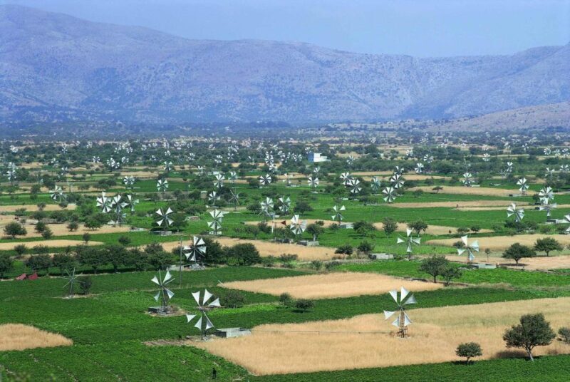 From Elounda Cretan Lasithi Plateau, Zeus Cave, Oldest Tree - Transportation & Group Dynamics