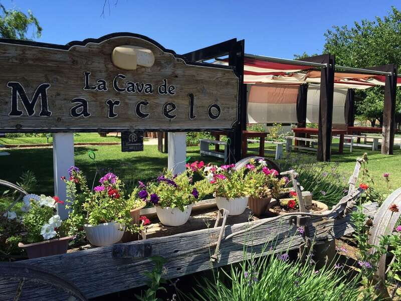 From Ensenada: Ojos Negros Valley Cheese & Wine Tasting Tour - What to Expect from the Tour