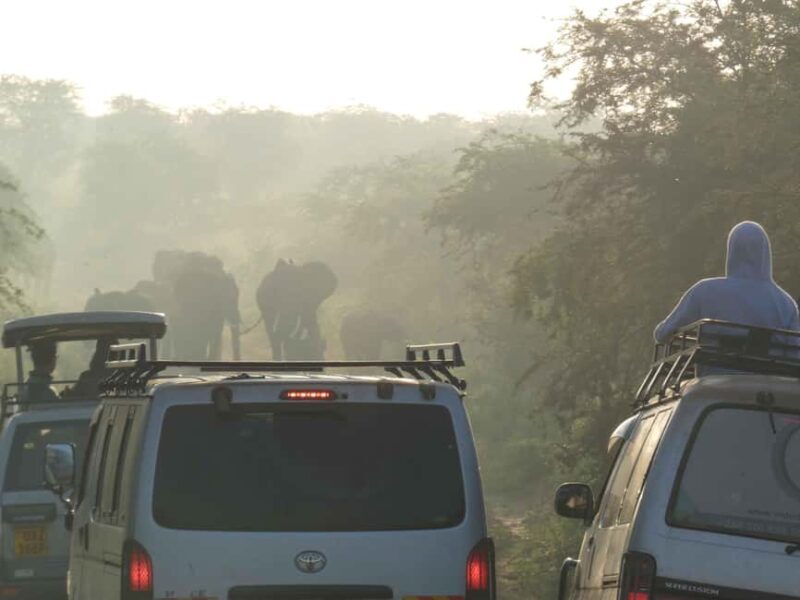 From Entebbe: 4-Day Murchison Falls & Budongo Forest Safari - Who Should Consider This Safari?