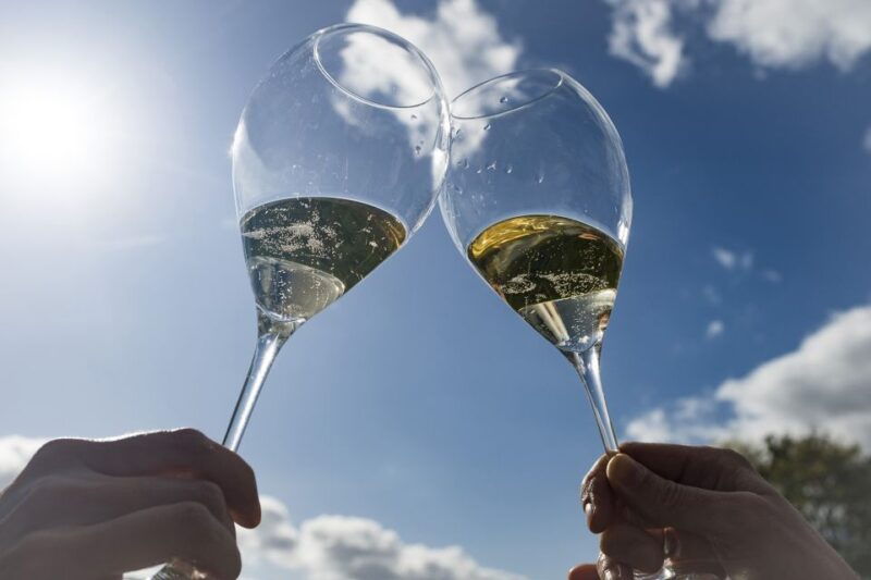 from-epernay-bubble-champagne-tour-6-tastings