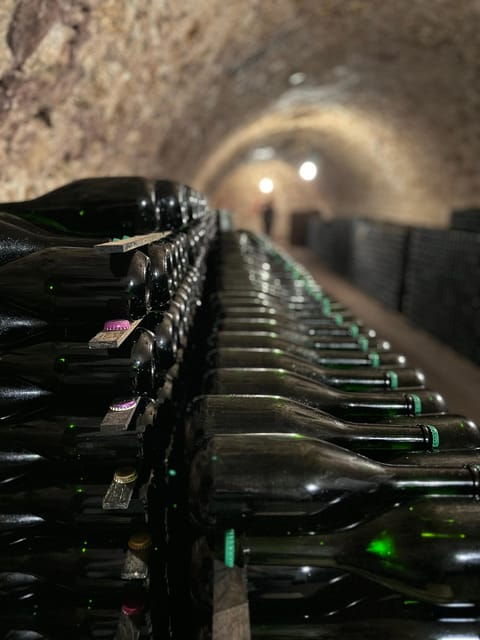 from-epernay-bubble-champagne-tour-6-tastings