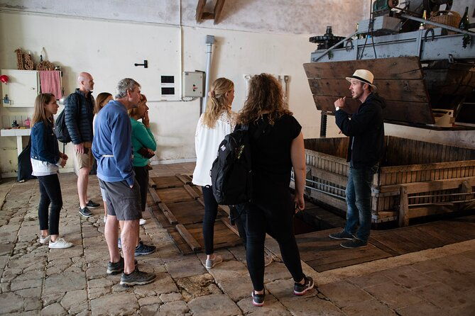from-epernay-full-day-electric-bike-champagne-and-lunch