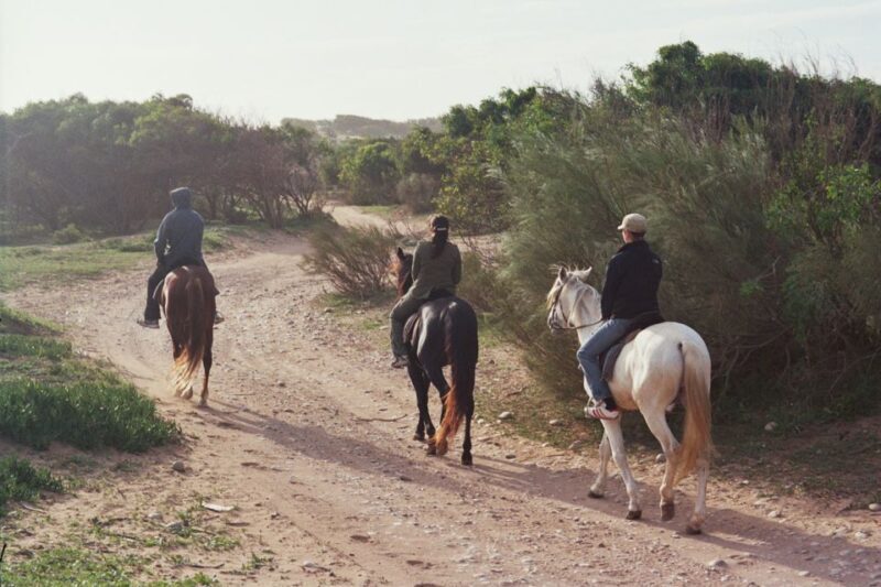 From Essaouira: 1-Hour Horse Ride - Key Points
