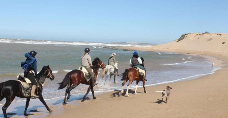 From Essaouira: 1-Hour Horse Ride - An In-Depth Look at the Essaouira Horseback Ride