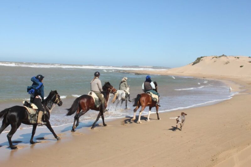 From Essaouira: 1-Hour Horse Ride with sunset - Key Points