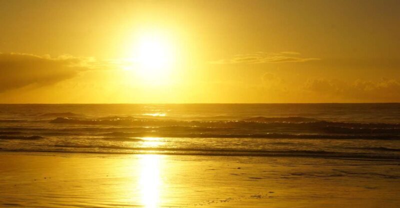 From Essaouira: 1-Hour Horse Ride with sunset - A Close Look at the Experience
