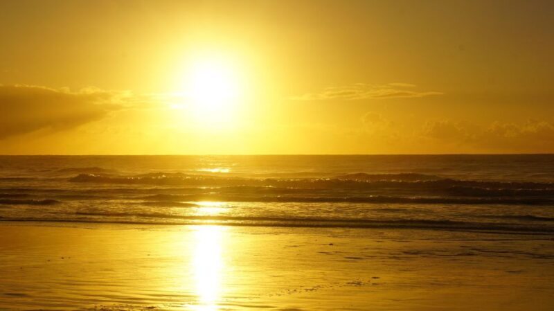 From Essaouira: 1-Hour Horse Ride with sunset - Who Will Love This Experience?