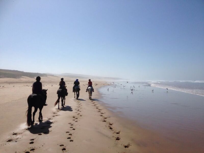From Essaouira: 1-Hour Horse Ride with sunset - FAQs