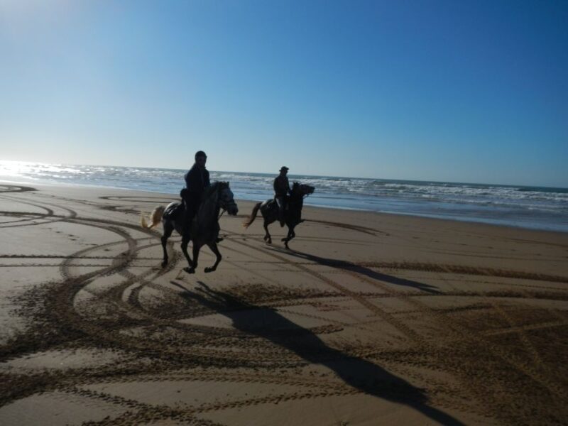 From Essaouira: 2h Horseback Ride with Sunset - Key Points