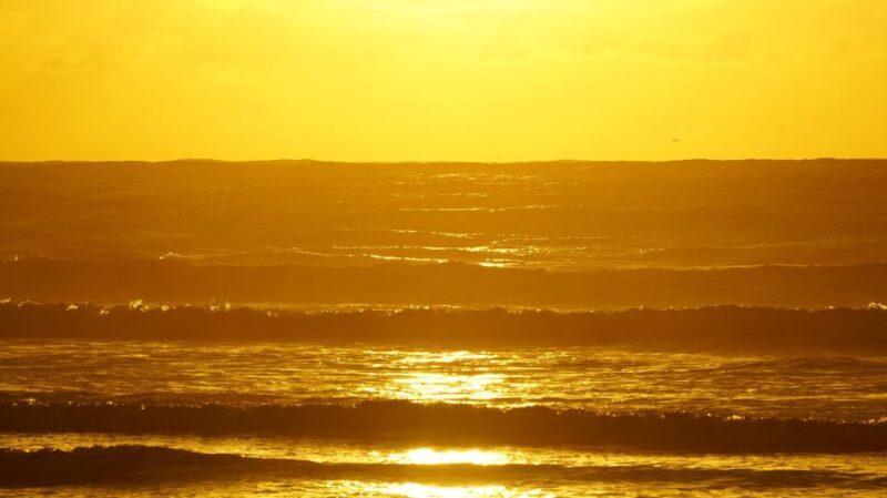 From Essaouira: 2h Horseback Ride with Sunset - The Ride Itself: A Visual Feast