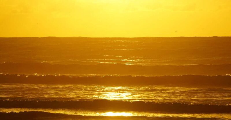 From Essaouira: 2h Horseback Ride with Sunset - The Guides: Reassuring and Knowledgeable