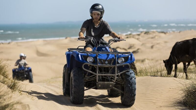 From Essaouira: 3-Hour Quad Biking Tour - Who Will Love This Tour?