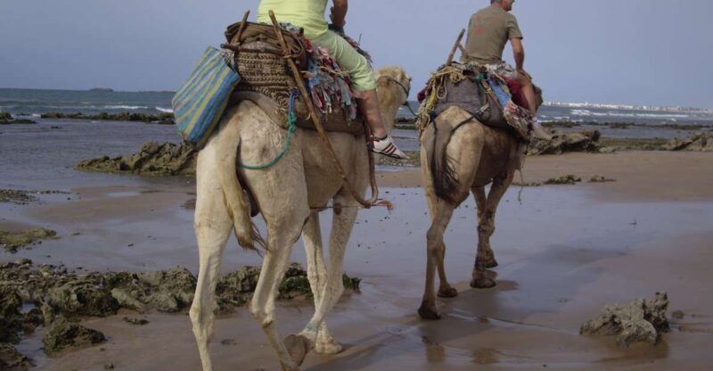From Essaouira: Camel Tour with Overnight Stay in a tent - Key Points