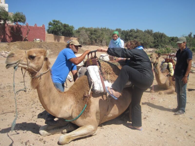 From Essaouira: Camel Tour with Overnight Stay in a tent - Transitioning to the Berber Camp Experience
