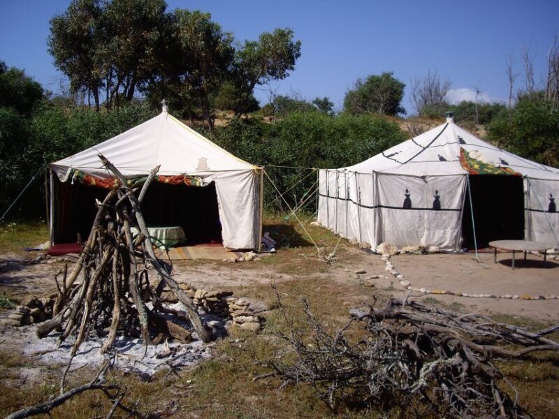 From Essaouira: Camel Tour with Overnight Stay in a tent - The Value Proposition