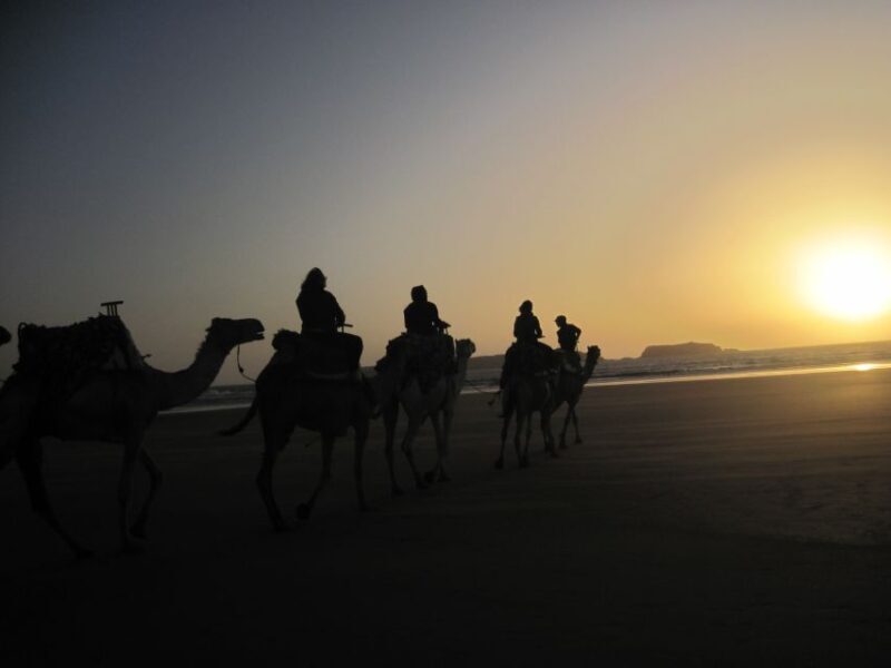 From Essaouira: Camel Tour with Overnight Stay in a tent - Who Should Consider This Tour?