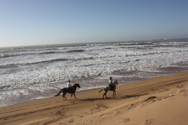 From Essaouira: Horseback Tour with Overnight Berber Camp - An In-Depth Look at the Horseback Tour Experience