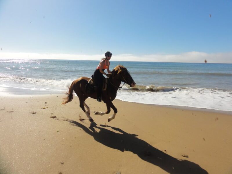 From Essaouira: Horseback Tour with Overnight Berber Camp - Why This Tour Stands Out