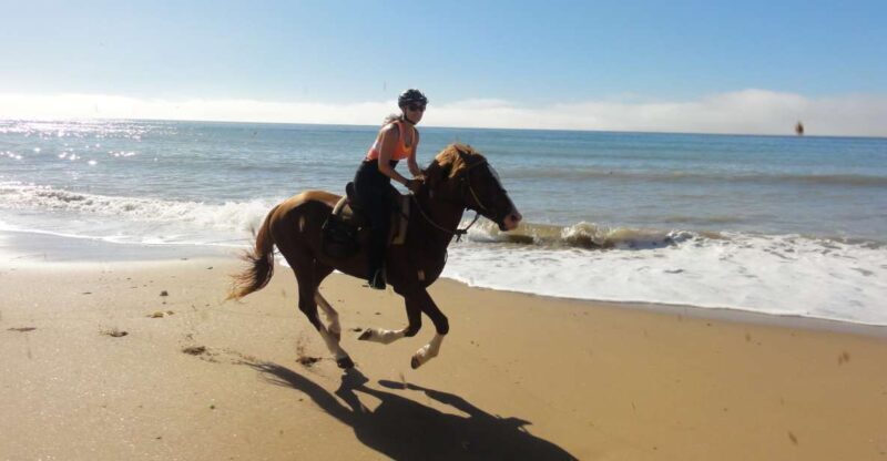 From Essaouira: Horseback Tour with Overnight Berber Camp - The Sum Up