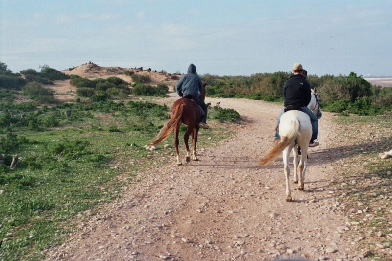 From Essaouira: Scenic Diabat Horseback Ride with Transfer - Key Points