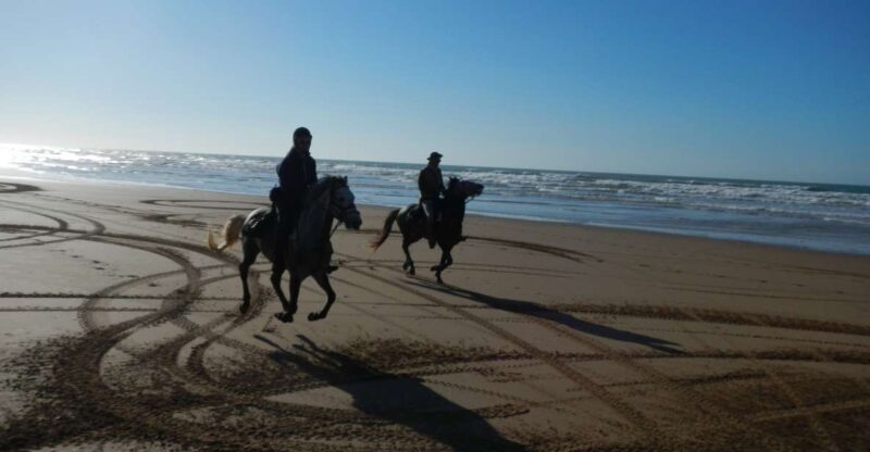 From Essaouira: Scenic Diabat Horseback Ride with Transfer - What to Expect from the Diabat Horseback Ride