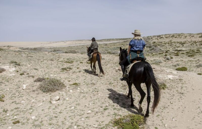 From Essaouira: Scenic Diabat Horseback Ride with Transfer - Additional Details That Matter