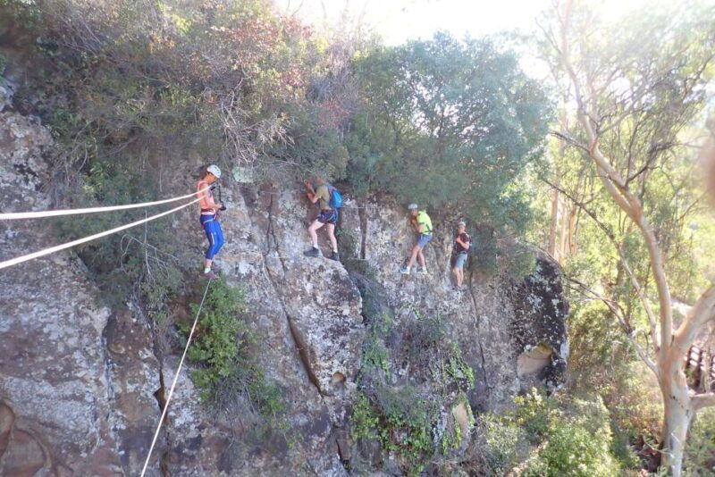 from-estepona-el-caiman-via-ferrata-guided-climbing-tour