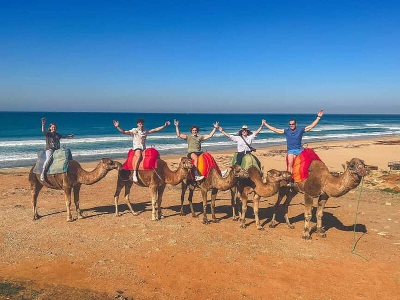 From Estepona: Tangier Day Trip with Ferry & Camel & Souk - Couldn’t-Miss Cultural Highlights