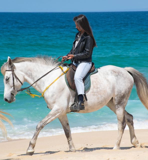 from-evora-horseback-riding-on-comporta-beach