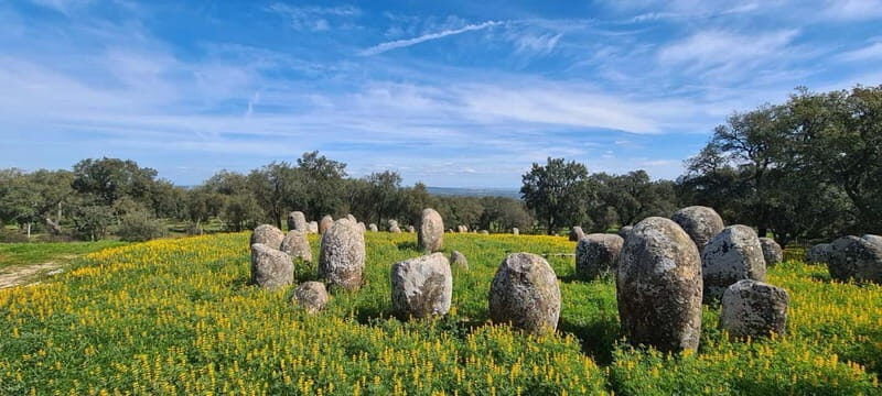 From Evora: Prehistoric Monuments and City Tour - Practical Details and Tips