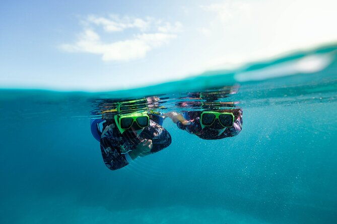from-fajardo-icacos-catamaran-snorkeling-tour