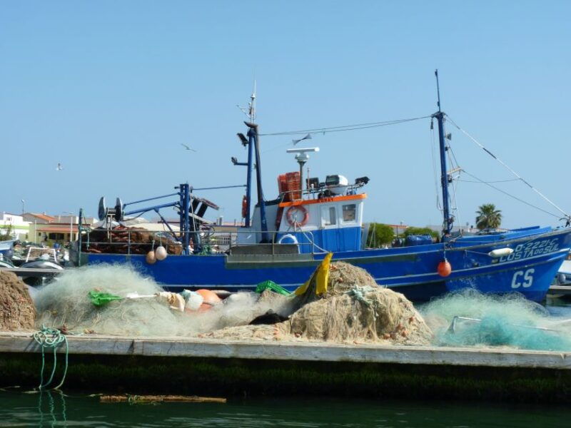 from-faro-4-stops-3-islands-in-ria-formosa-catamaran-tour