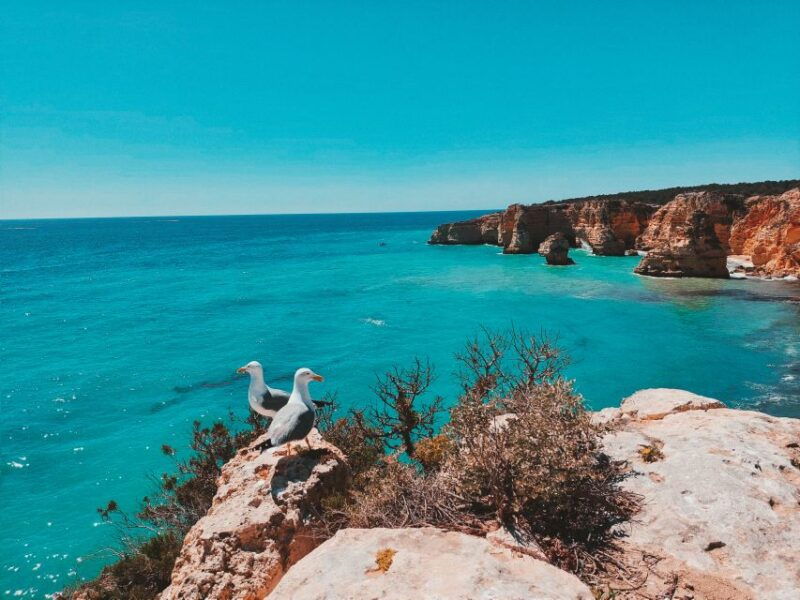 from-faro-benagil-cave-marinha-carvoeiro-full-day-tour
