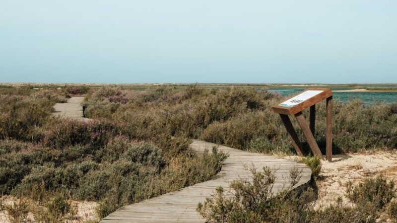 from-faro-catamaran-boat-trip-to-deserta-island-with-stop