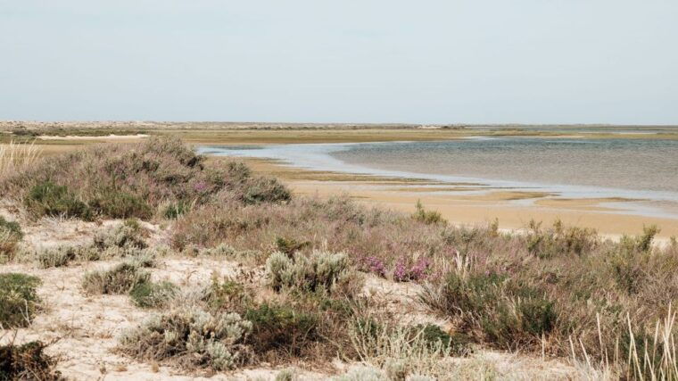 from-faro-catamaran-boat-trip-to-deserta-island-with-stop