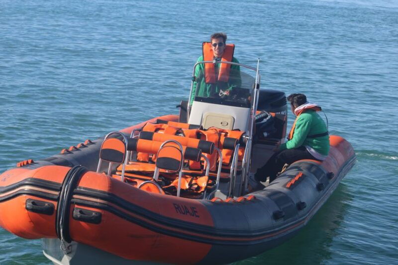 from-faro-dolphin-watching-2-islands-tour