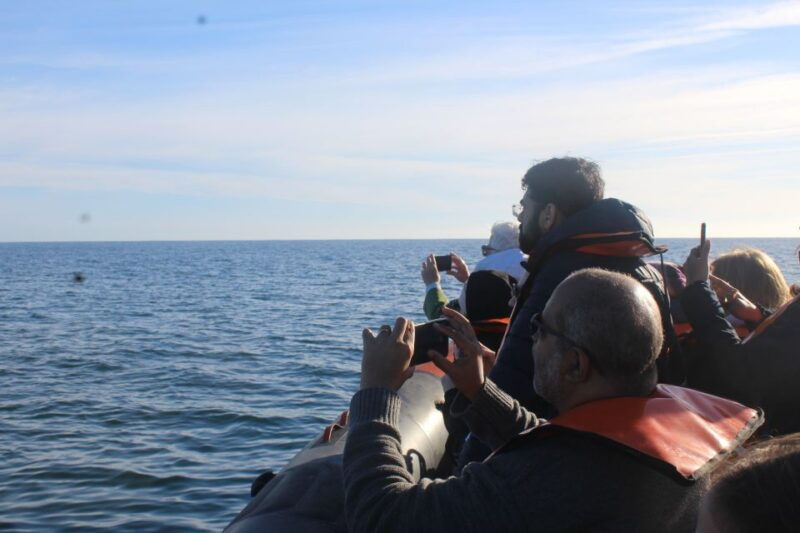from-faro-dolphin-watching-2-islands-tour