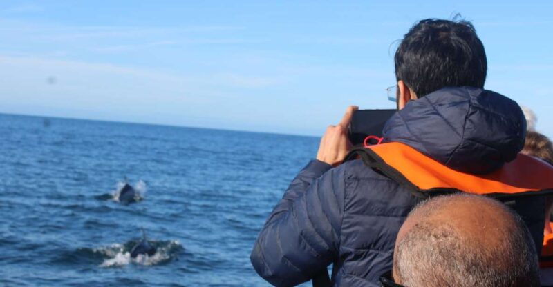 from-faro-dolphin-watching-2-islands-tour