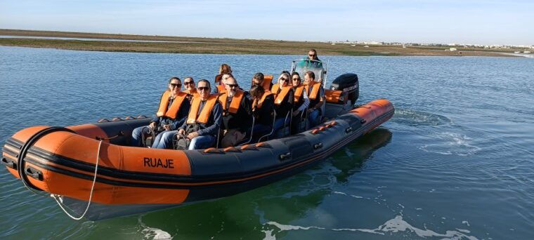 from-faro-dolphin-watching-2-islands-tour