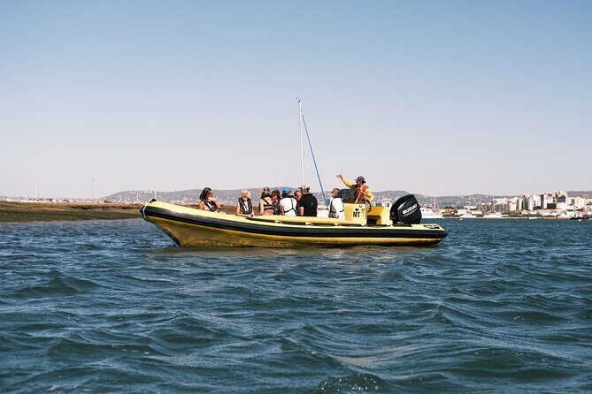 From Faro: Ria Formosa Eco Tour guided by Marine Biologist - Key Points