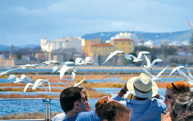 From Faro: Ria Formosa Eco Tour guided by Marine Biologist - The Sum Up