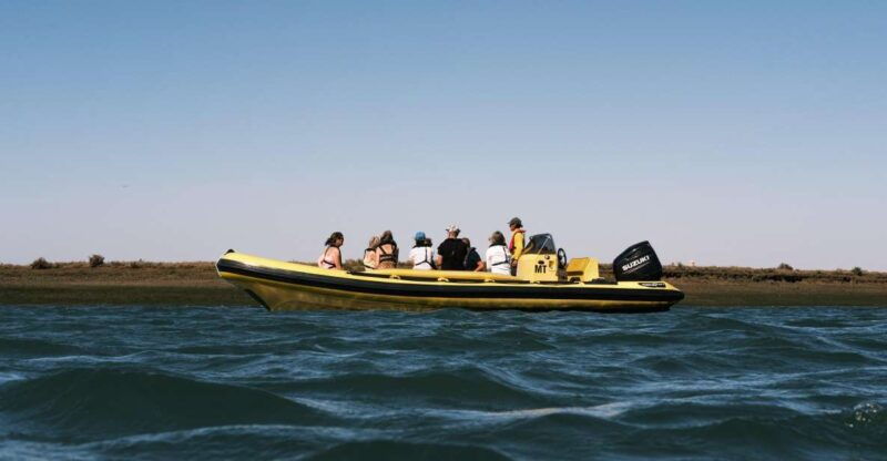 from-faro-ria-formosa-eco-tour-guided-by-marine-biologist