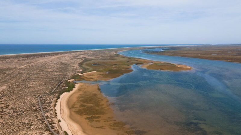 from-faro-ria-formosa-eco-tour-guided-by-marine-biologist