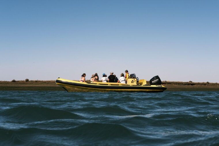 from-faro-ria-formosa-eco-tour-guided-by-marine-biologist